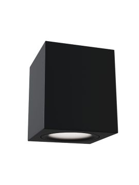 Потолочный светильник Maytoni Alfa C013CL-01B