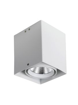 Потолочный светодиодный светильник Favourite Flashled 1986-1U