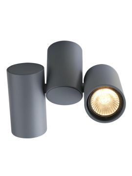 Потолочный светильник Divinare Gavroche 1354/05 PL-2