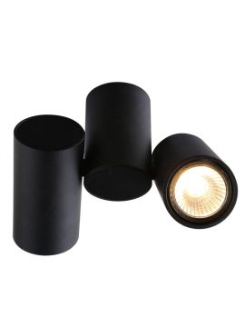 Потолочный светильник Divinare Gavroche 1354/04 PL-2