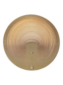 Настенный светильник ST Luce Fossil SL6900.501.16