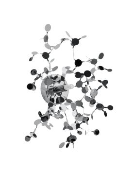 Настенный светильник Lightstar Extra 721634