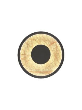 Настенный светильник Favourite Tallar 4445-1W