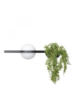 Настенный светильник Loft IT Jardin 10121W/A