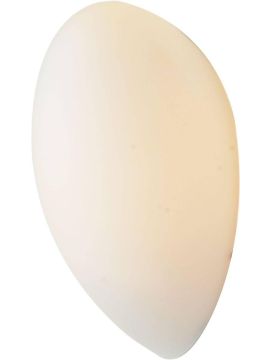 Настенный светильник ST Luce Bagno SL507.551.01