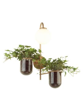 Настенный светильник Odeon Light Flower 4682/1W