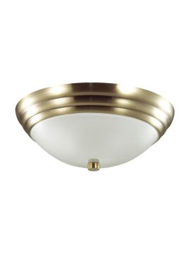 Настенно-потолочный светильник Lumion Vintage 5262/2C