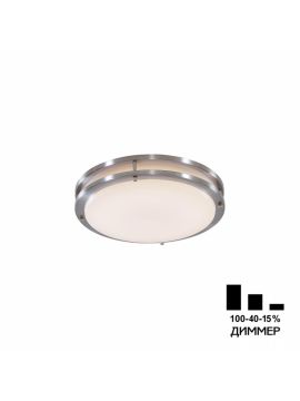 Настенно-потолочный светильник Citilux Бостон CL709201N