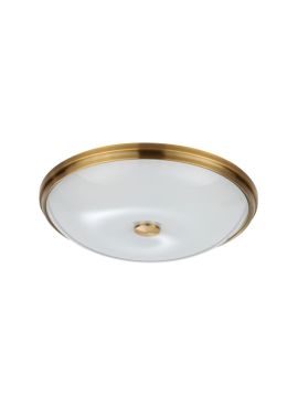Настенно-потолочный светильник Odeon Light Pelow 4956/5