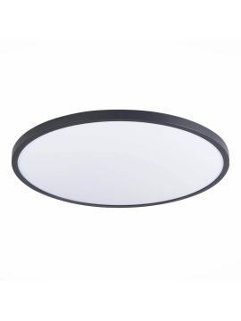 Настенно-потолочный светильник ST Luce ST601.442.48