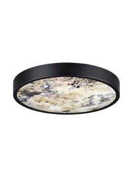 Настенно-потолочный светильник Odeon Light Bergi 5064/24L