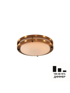 Настенно-потолочный светильник Citilux Бостон CL709203N