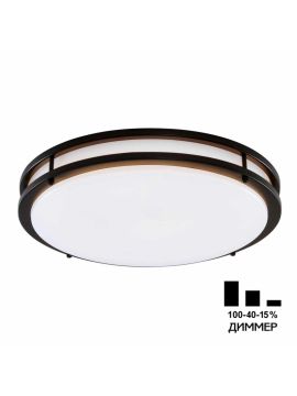 Настенно-потолочный светильник Citilux Бостон CL709505N