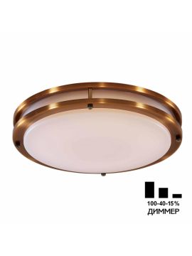 Настенно-потолочный светильник Citilux Бостон CL709503N