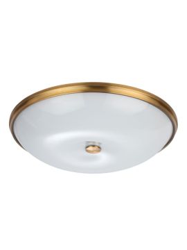 Настенно-потолочный светильник Odeon Light Pelow 4956/6