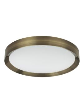 Настенно-потолочный светильник Odeon Light Lunor 4948/60CL