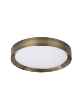 Настенно-потолочный светильник Odeon Light Lunor 4948/45CL