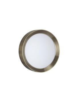 Настенно-потолочный светильник Odeon Light Lunor 4948/30CL