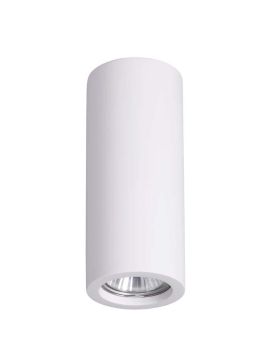 Потолочный светильник Odeon Light Gesso 3554/1C