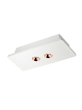 Потолочный светодиодный светильник Loft IT Architect OL1072-WG/2