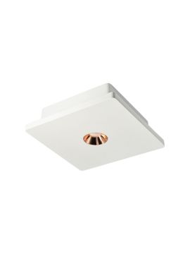 Потолочный светодиодный светильник Loft IT Architect OL1072-WG/1