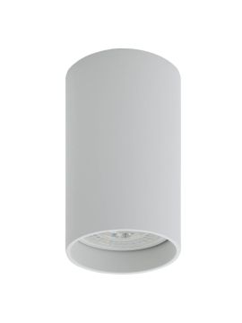 Потолочный светильник Denkirs DK2008-WH