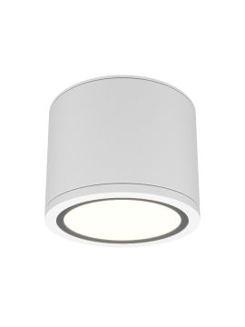 Накладной светильник Maytoni Rendo C095CL-GX53-W