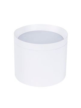 Накладной светильник Favourite Rote 4708-1C