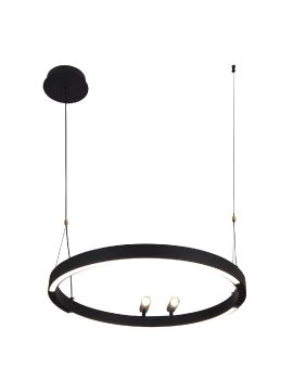 Подвесная люстра F-Promo Slinga 4474-1P