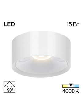 Накладной светильник Citilux Rover CL743150N