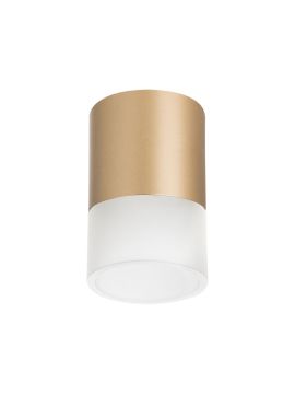 Накладной светильник Lightstar Rullo (213490+202481) R349081