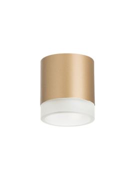 Накладной светильник Lightstar Rullo (213490+202480) R349080