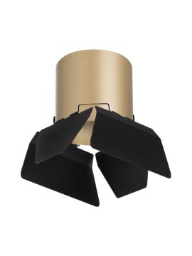 Накладной светильник Lightstar Rullo (213490+202487) R3490487