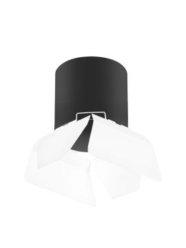 Накладной светильник Lightstar Rullo (213487+202486) R3487486