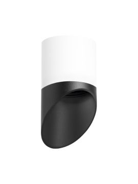 Накладной светильник Lightstar Rullo (213486+201487) R348687