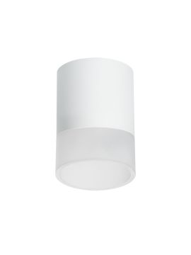 Накладной светильник Lightstar Rullo (213486+202481) R348681