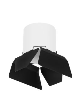 Накладной светильник Lightstar Rullo (213486+202487) R3486487