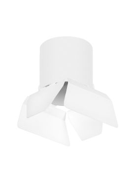 Накладной светильник Lightstar Rullo (213486+202486) R3486486