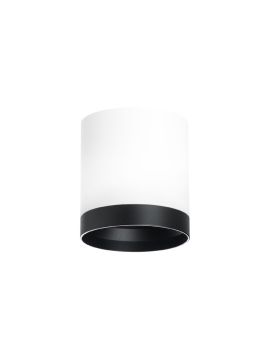 Накладной светильник Lightstar Rullo (213486+203487) R34863487