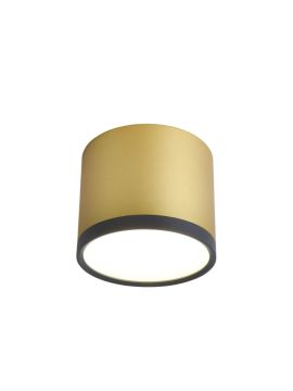 Накладной светильник Favourite Baral 3082-2C