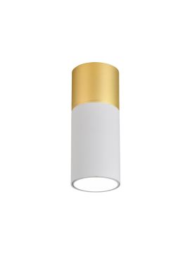 Накладной светильник Favourite Deepak 3073-1C