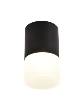 Накладной светильник Favourite Naram 3070-1C