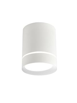 Накладной светильник Favourite Darar 3064-1C