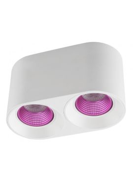 Накладной светильник Denkirs DK3096-WH+PI