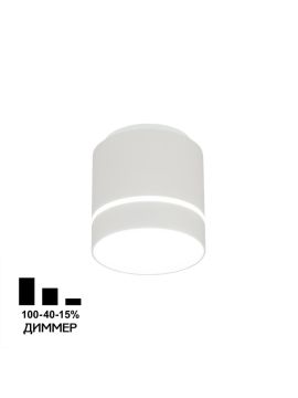 Накладной светильник Citilux Борн CL745010N