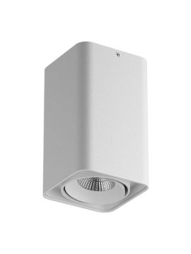 Потолочный светильник Lightstar Monocco 212536