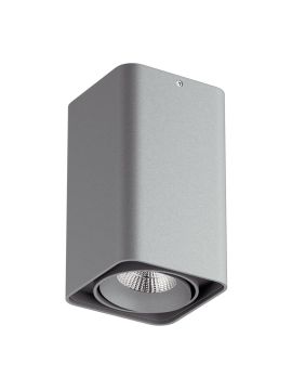 Потолочный светодиодный светильник Lightstar Monocco 052139