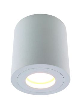 Потолочный светильник Divinare Galopin 1460/03 PL-1