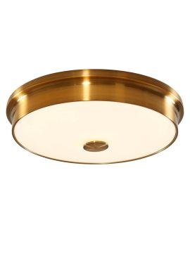 Потолочный светодиодный светильник Citilux Фостер-2 CL706232