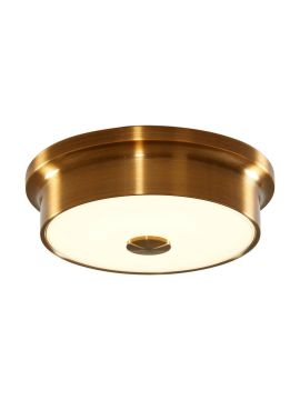 Потолочный светодиодный светильник Citilux Фостер-2 CL706212